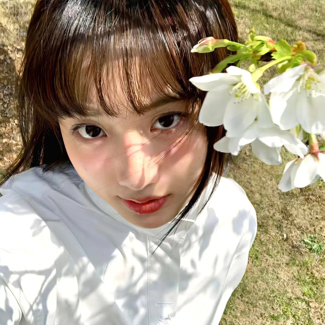 春蚕